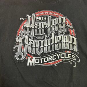 Harley Davidson Motorcycles Cotton T Shirt Black Thunder Mountain Colorado Sz Lg